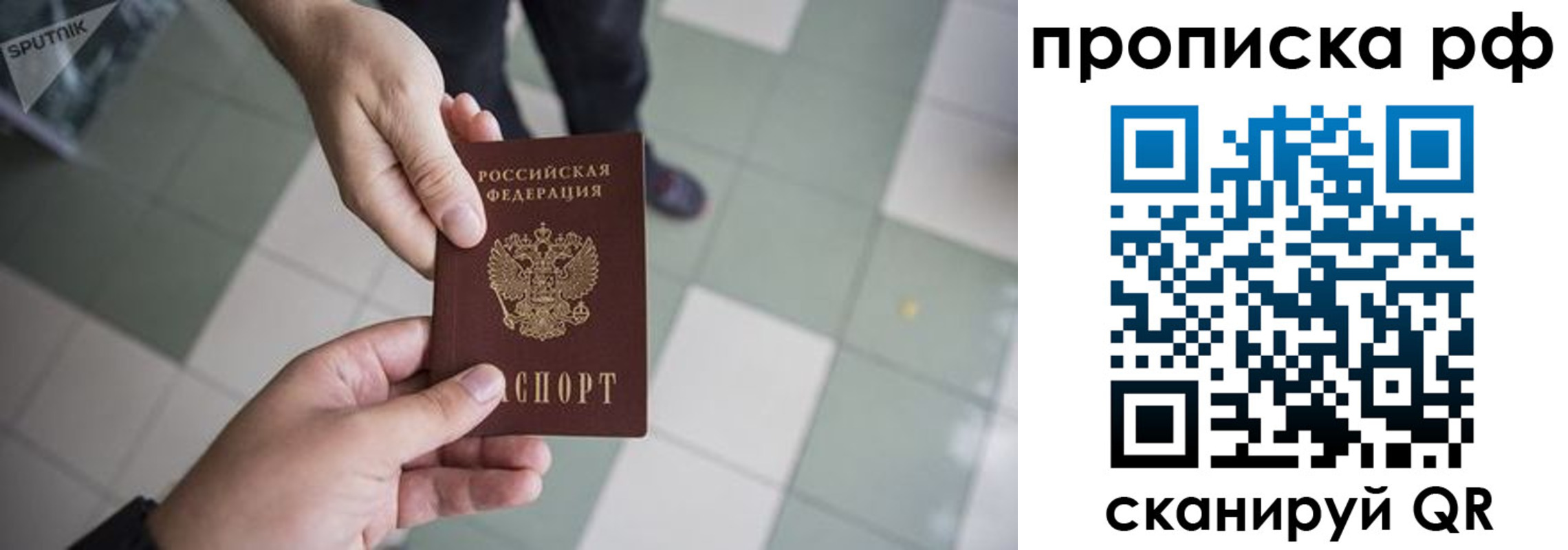 прописка гарантия в Кузнецке